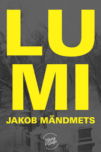 E-raamat: Lumi