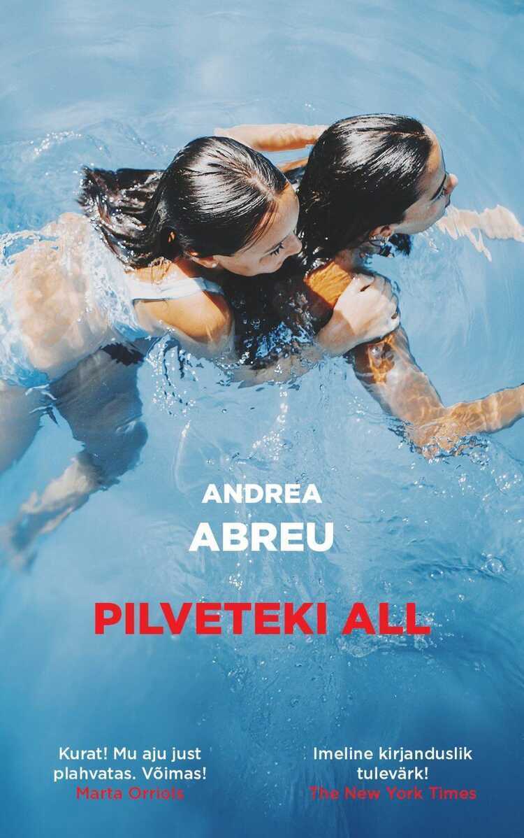 Pilveteki all