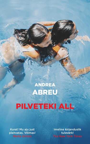 E-raamat: Pilveteki all