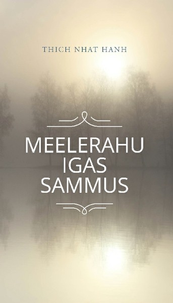 E-raamat: Meelerahu igas sammus