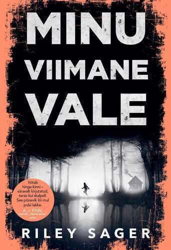 E-raamat: MINU VIIMANE VALE
