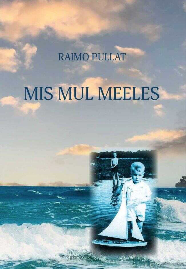 Mis mul meeles