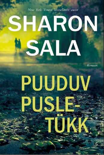 Puuduv pusletükk