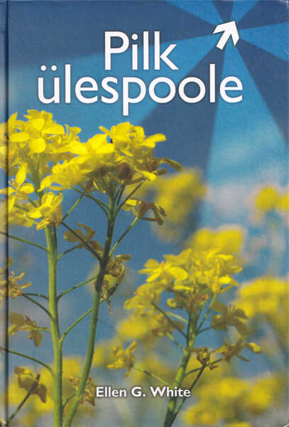 Pilk ülespoole