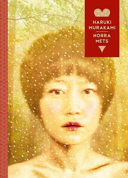 E-raamat: Norra mets