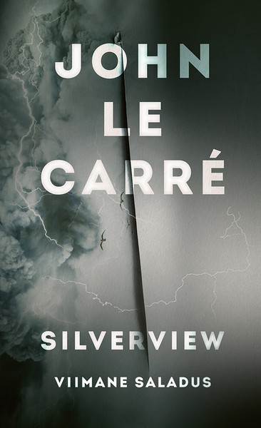 E-raamat: Silverview - viimane saladus