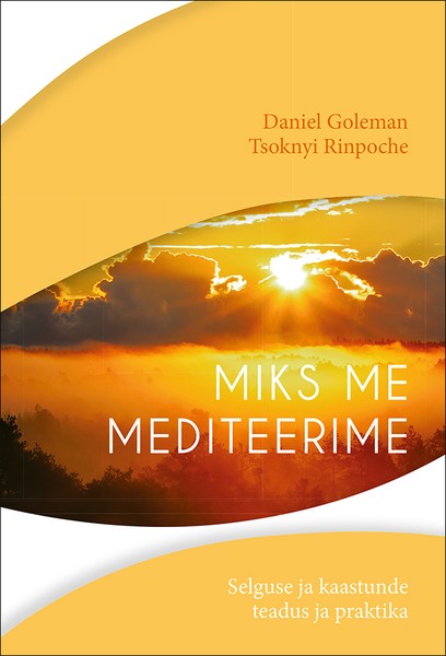 E-raamat: Miks me mediteerime. Selguse ja kaastunde teadus ja praktika