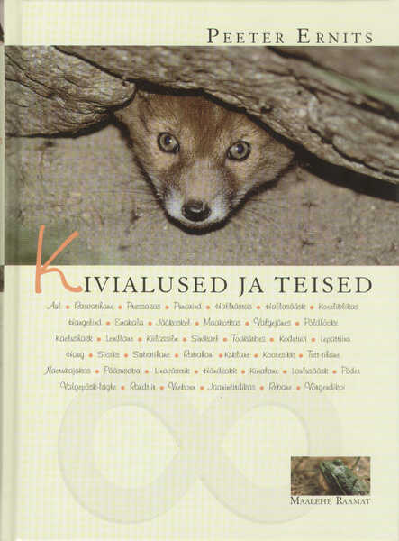 Kivialused ja teised