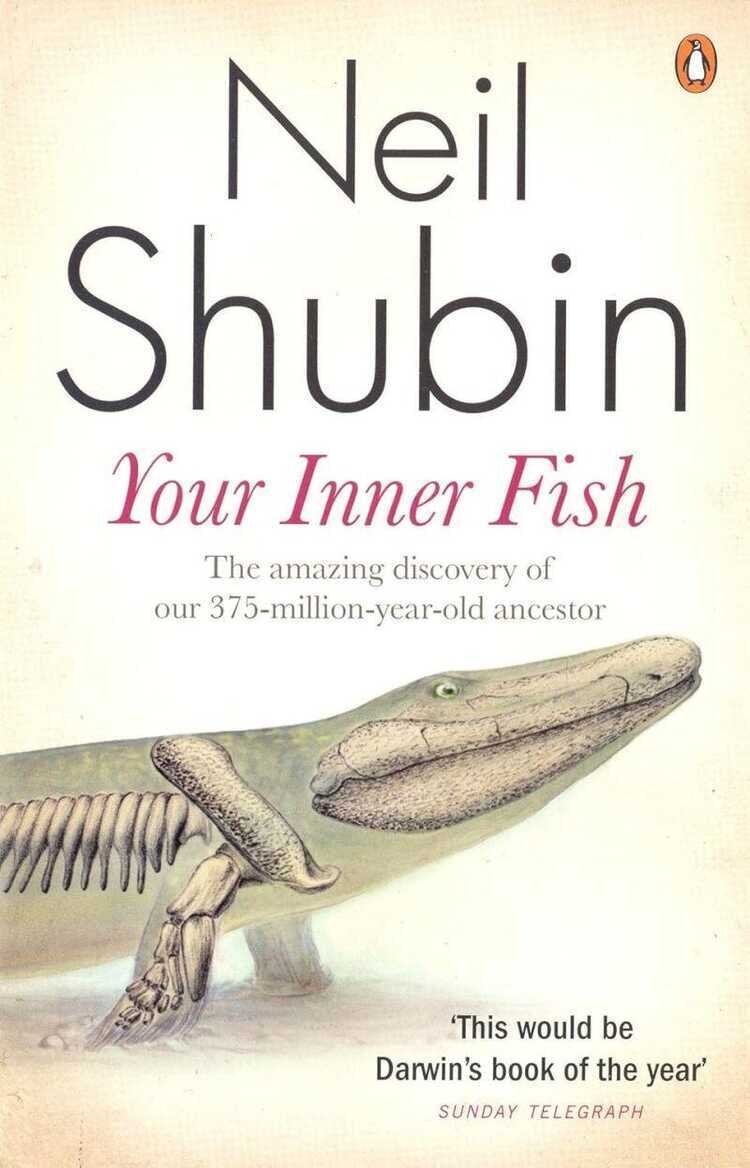 Your Inner Fish