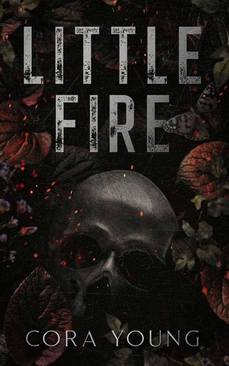 Little Fire