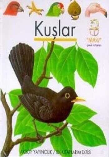 Kuşlar