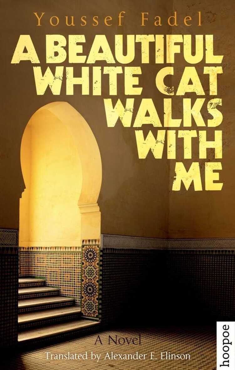Beautiful White Cat Walks with Me