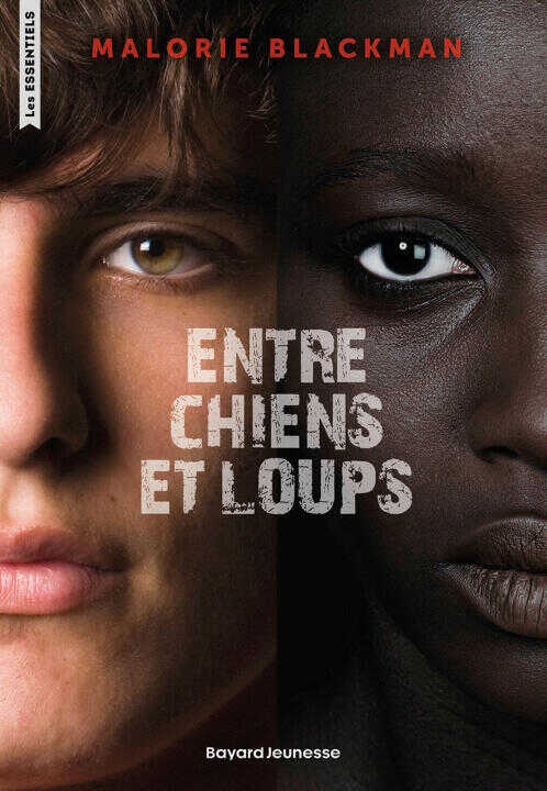 Entre chiens et loups