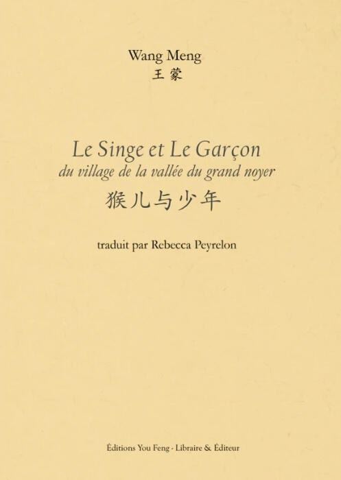 Le Singe et Le Garçon