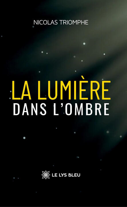 La lumière dans l'ombre — Nicolas Triomphe