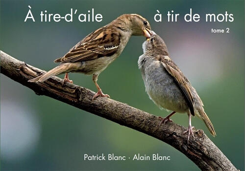 À tire-d’aile, à tir de mots