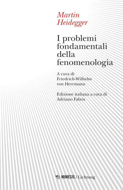problemi fondamentali della fenomenologia