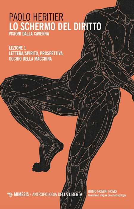 Lo schermo del diritto. Visioni dalla caverna. Vol. 1: Lettera/spirito, prospettiva, occhio della macchina