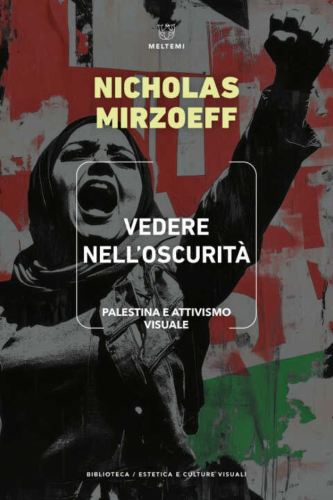 Vedere nell'oscurità. Palestina e attivismo visuale