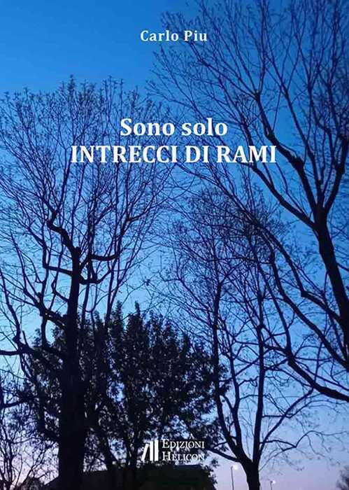Sono solo intrecci di rami