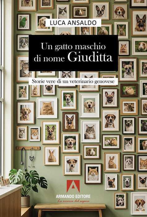 Un gatto maschio di nome Giuditta — Luca Ansaldo
