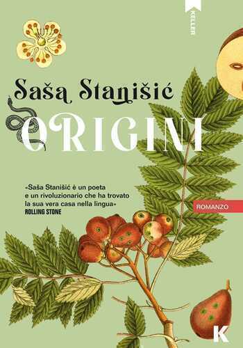 Origini — Saša Stanišić