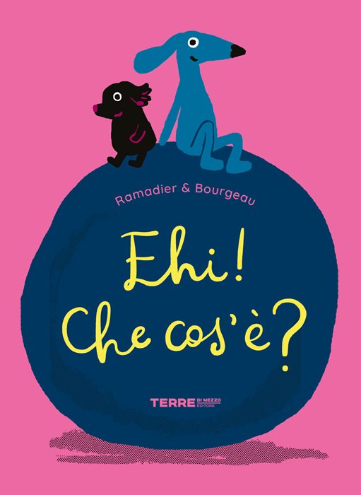 Ehi! Che cos’è? Ediz. a colori