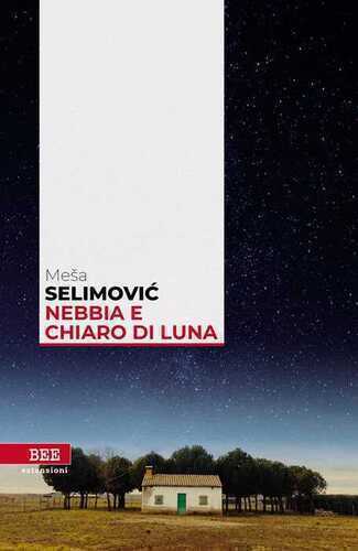Nebbia e chiaro di luna