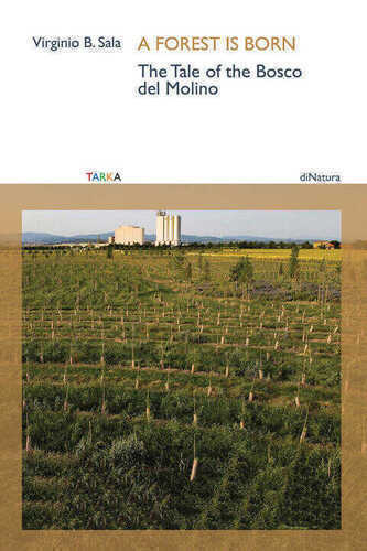 forest is born. The tale of the Bosco del Molino