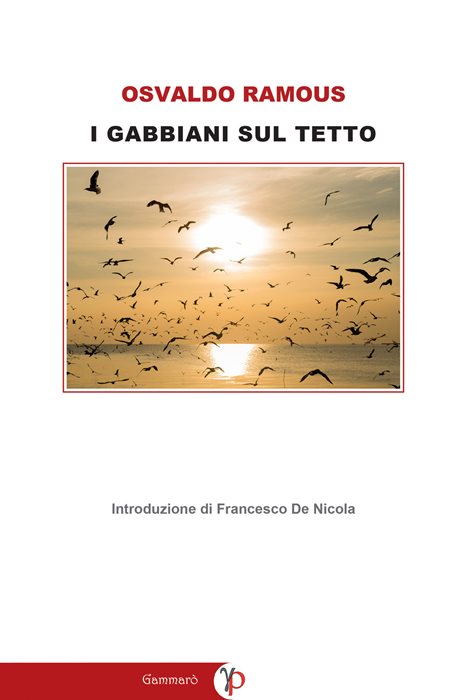 I gabbiani sul tetto