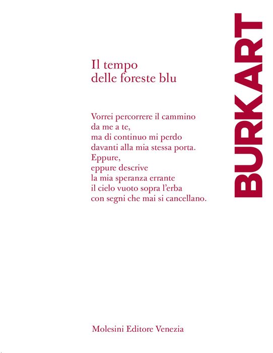 Il tempo delle foreste blu