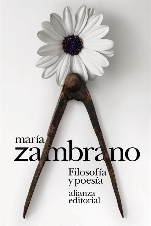 Filosofia y Poesia