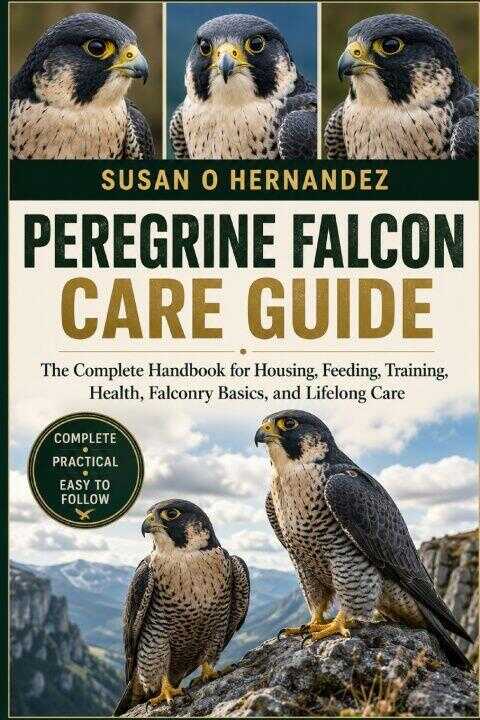 Peregrine Falcon Care Guide