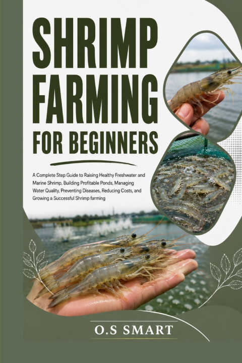 Shrimp Farming for Beginners