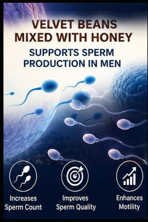 Consuming velvet beans mixed with honey increases sperm production in men.