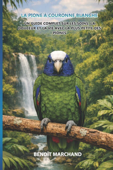La Pione à Couronne Blanche