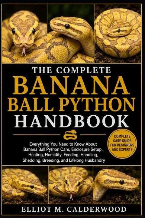 The Complete Banana Ball Python Handbook