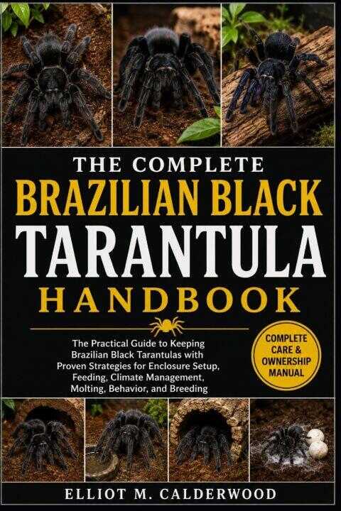 The Complete Brazilian Black Tarantula Handbook