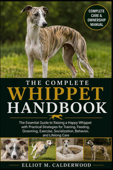 The Complete Whippet Handbook