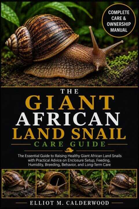 The Giant African Land Snail Care Guide