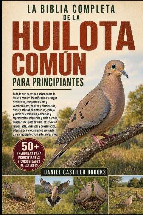 La Biblia Completa de la Huilota Común Para Principiantes