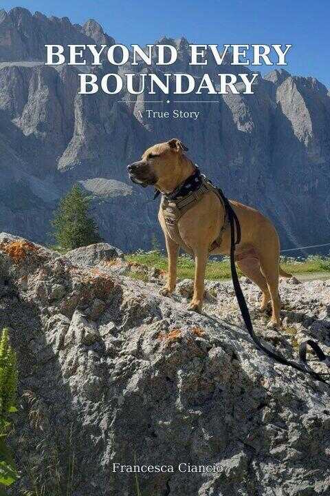 Beyond every boundary