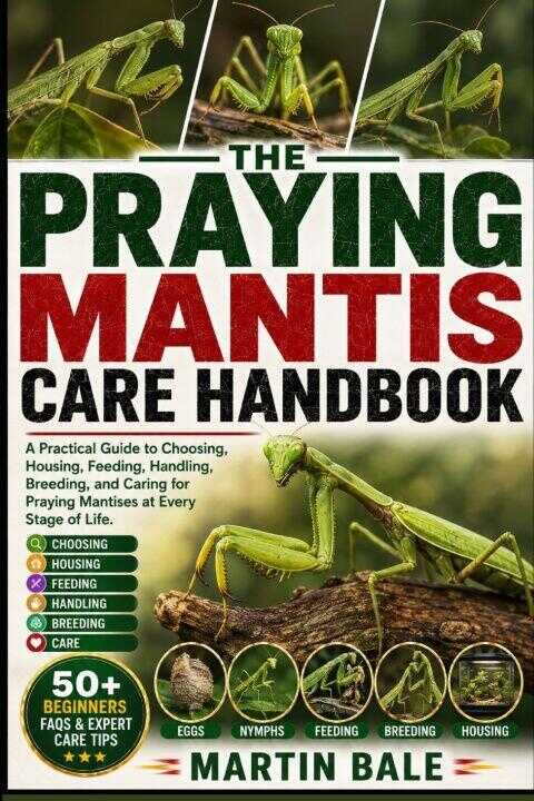 Praying Mantis Care Handbook