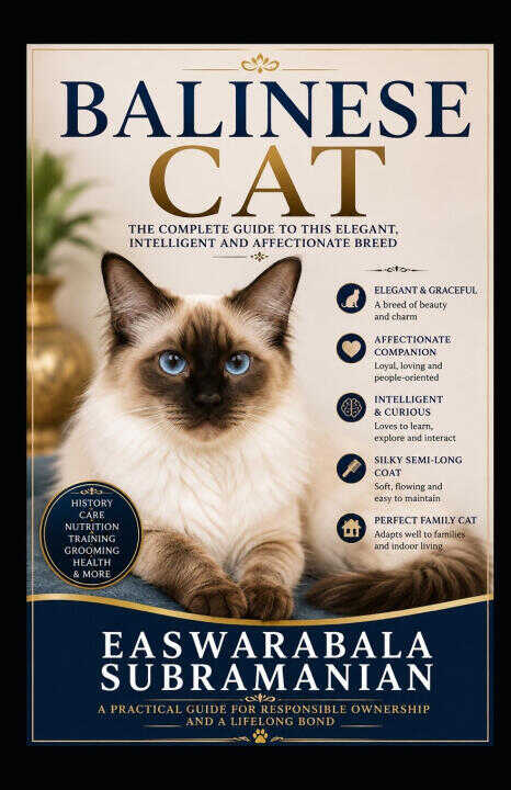 Balinese Cat