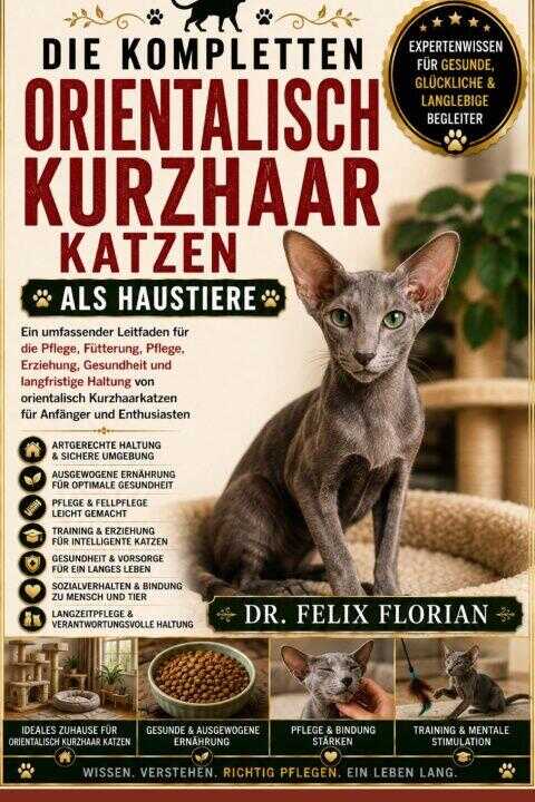 Die Kompletten Orientalisch Kurzhaar Katzen Als Haustiere