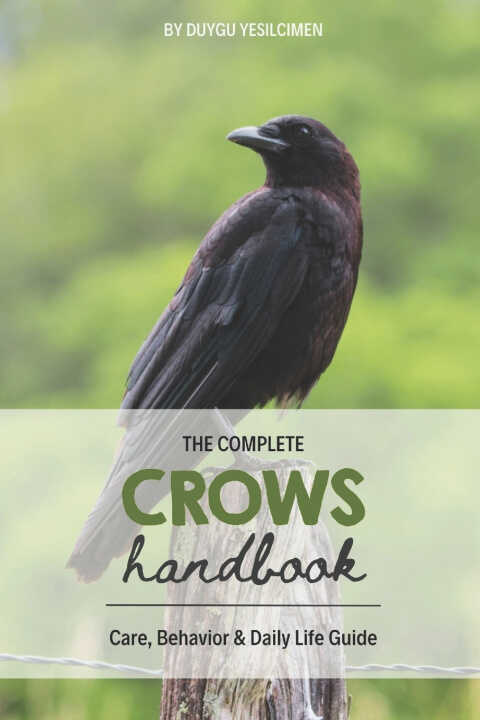 Crows Handbook