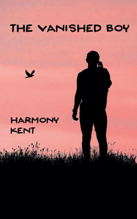 The Vanished Boy