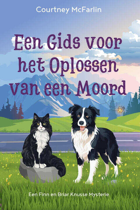 Een Gids voor het Oplossen van een Moord