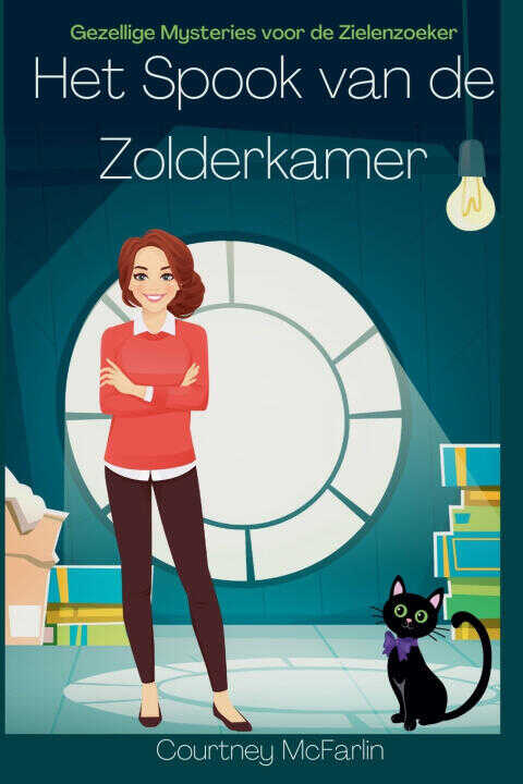 Het Spook van de Zolderkamer