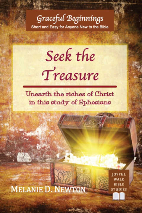 Seek the Treasure